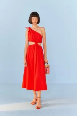 Red Knot Midi Dress